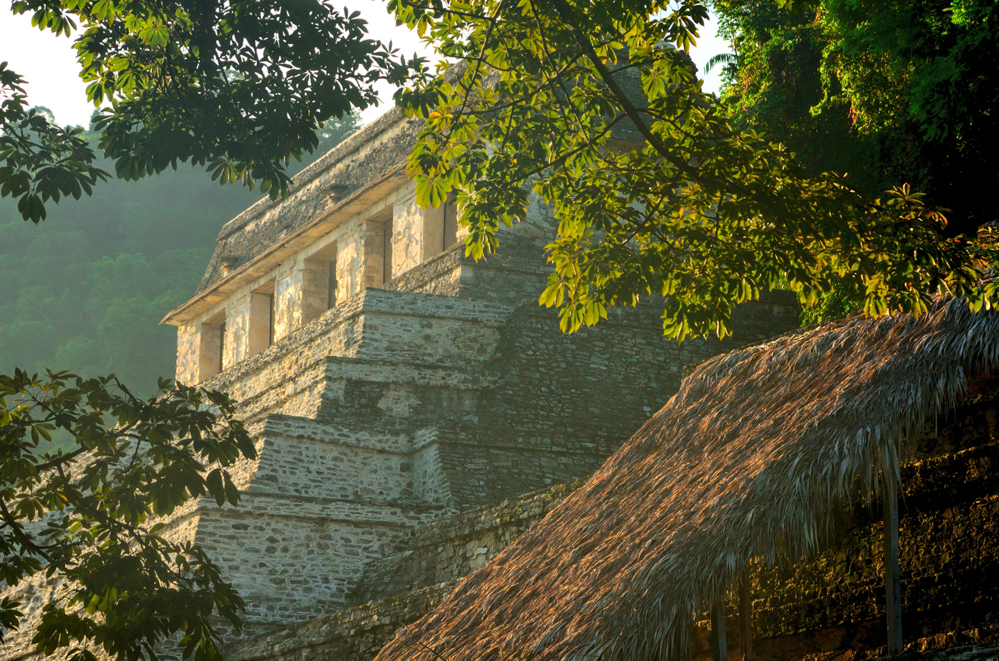 Palenque: Palaces and Pyramids in the Land of the Maya