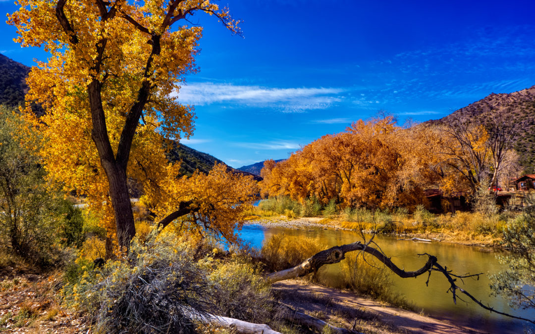 New Mexico’s Golden Autumn