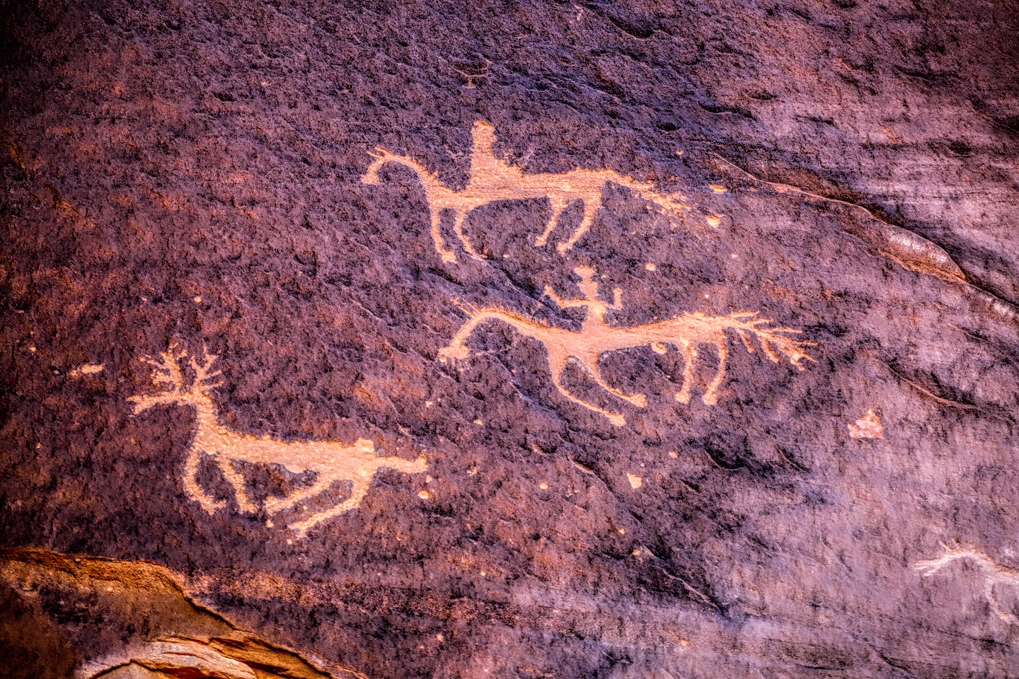 SCH IＭＭEL CANYON OF THE AGES 25u 'Canyon of The Ages' (Schimmel) Painting of Dinosaurs At
