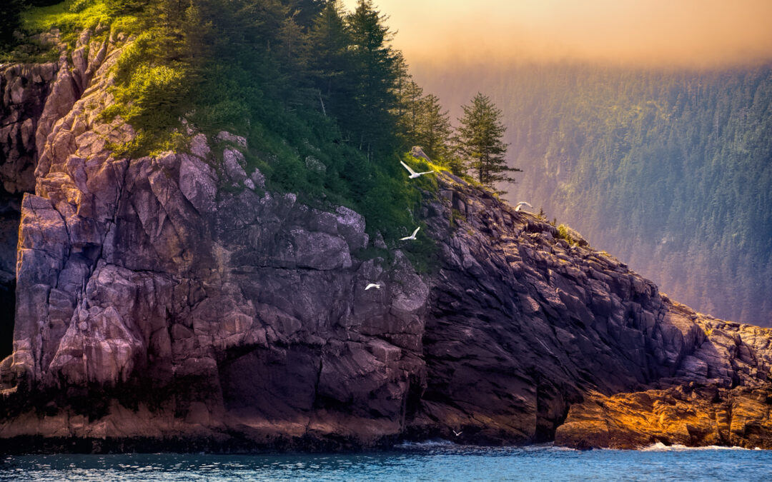 Kenai Fjords National Park: Seabirds, Glaciers, and Whales on the Wild Coast of Alaska