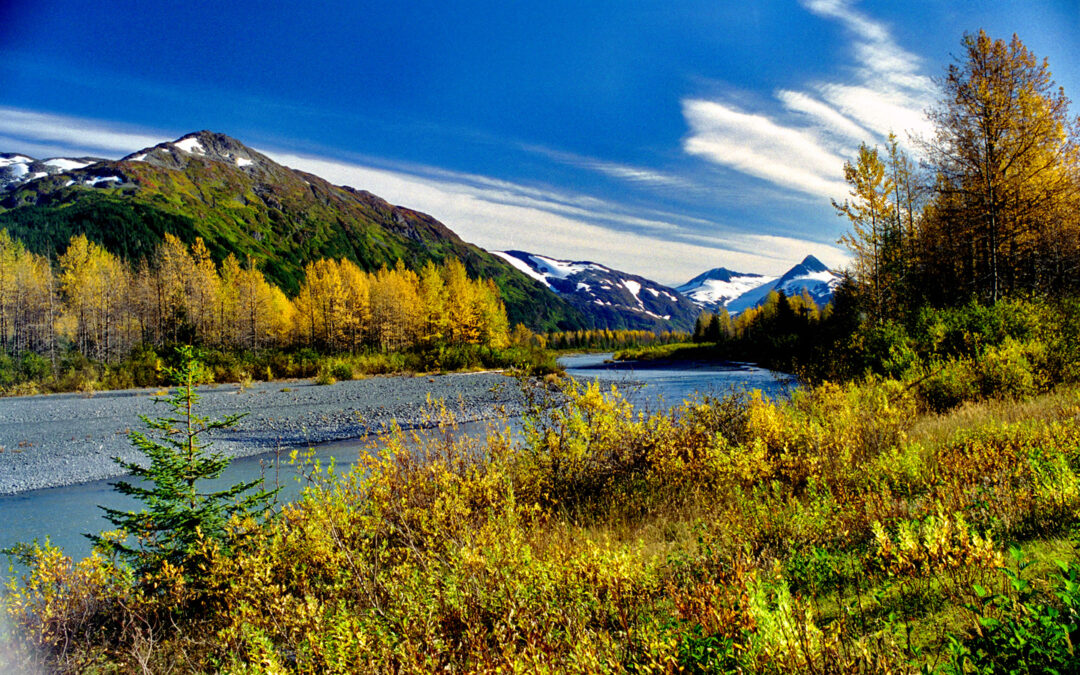 Alaska Road Trip: The Grand Circle: Anchorage and the Kenai Peninsula