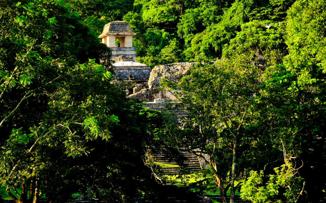 Mexican Road Trip: Mayan Ruins and Waterfalls in the Lacandon Jungle